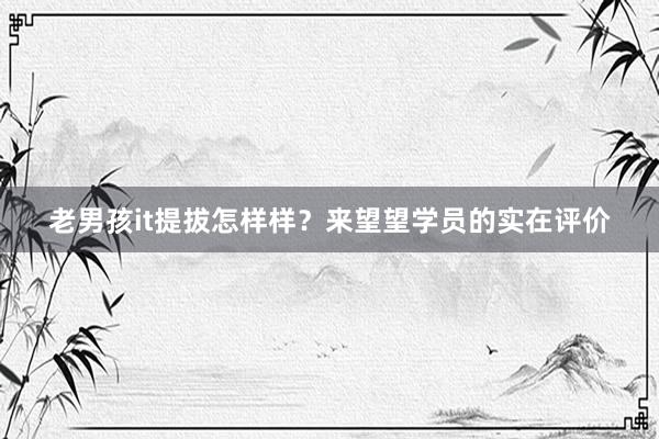 老男孩it提拔怎样样？来望望学员的实在评价